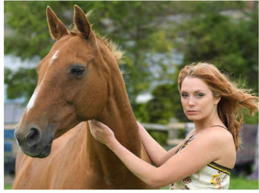 Lady and horse